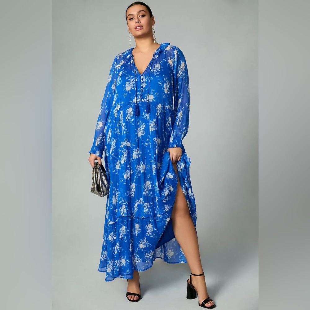 Anthropologie Marais Floral Printed Chiffon Maxi Dress, size Large
